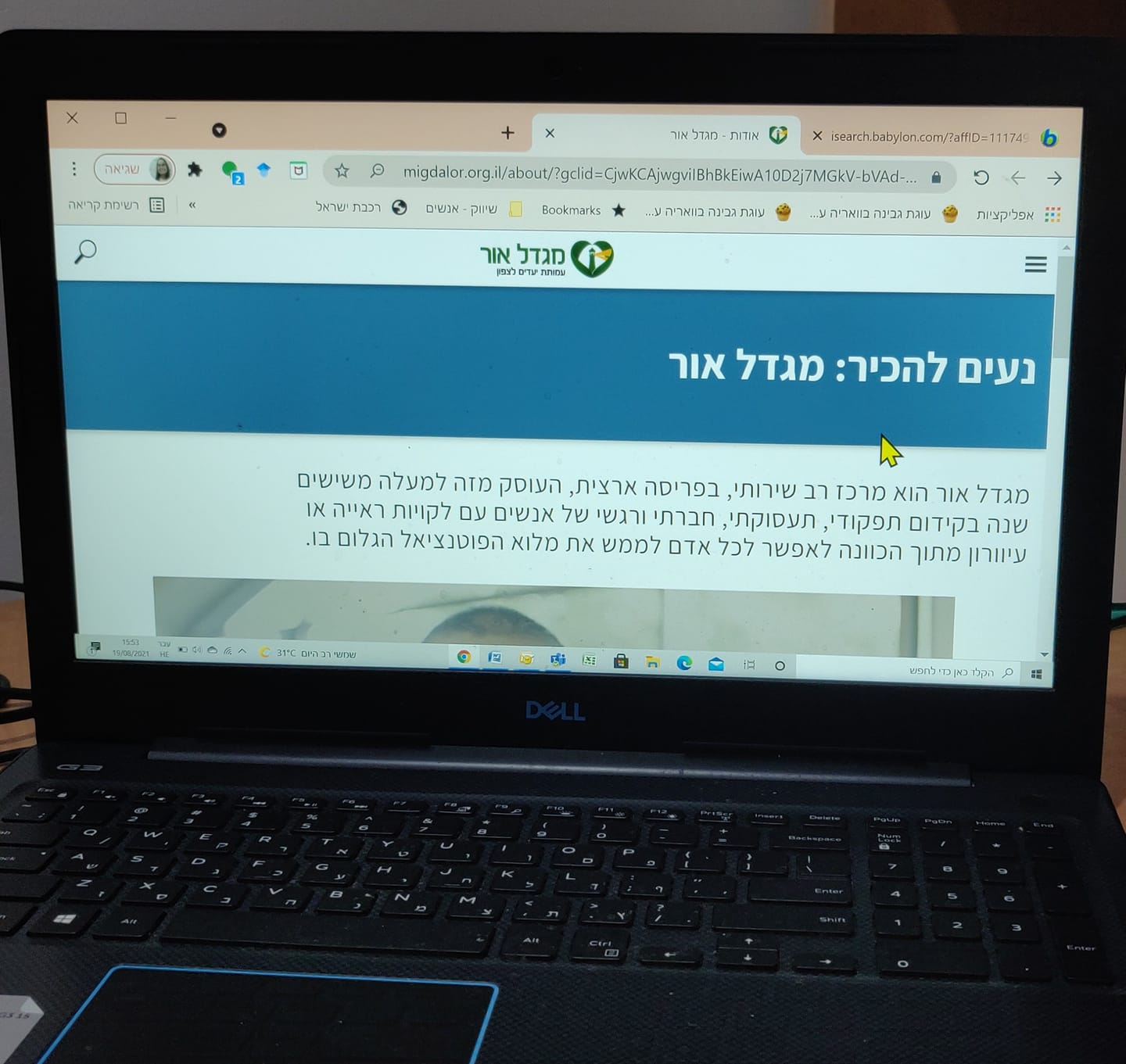 שיתוף פעולה של מגדל אור בתחום הנגשת אתרים